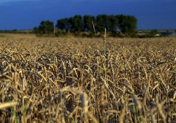 XXXIII Seminarium Geografii Wsi pt. Odnowa i Rewitalizacja Wsi