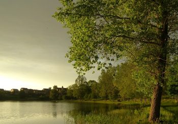 Posiedzenie Komisji Krajobrazu Kulturowego PTG