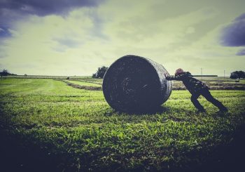 Seminarium naukowe pt. Społeczny wymiar innowacyjności na obszarach wiejskich