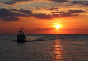 Konferencja pt. Polska Geografia Morza: Przyrodnicze i społeczno-ekonomiczne badania morza i obszarów nadmorskich