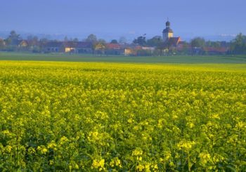 VII Ogólnopolska Konferencja Naukowa nt. „Wieś i rolnictwo w procesie zmian”