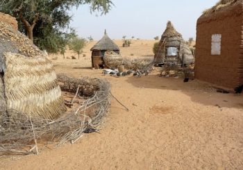 Wykład pt. Z pustyni w tropiki. Taksówką przez Niger i Benin