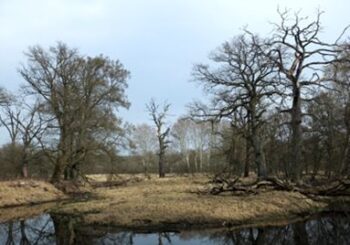 Szlak jak rys Wielkopolan – o koncepcji Wielkopolskiego Szlaku Pracy Organicznej