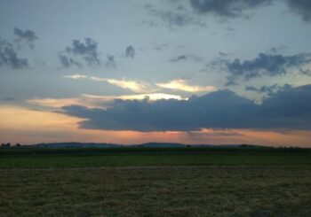 Konferencja naukowa pt. „Wieś i rolnictwo – razem czy osobno?”