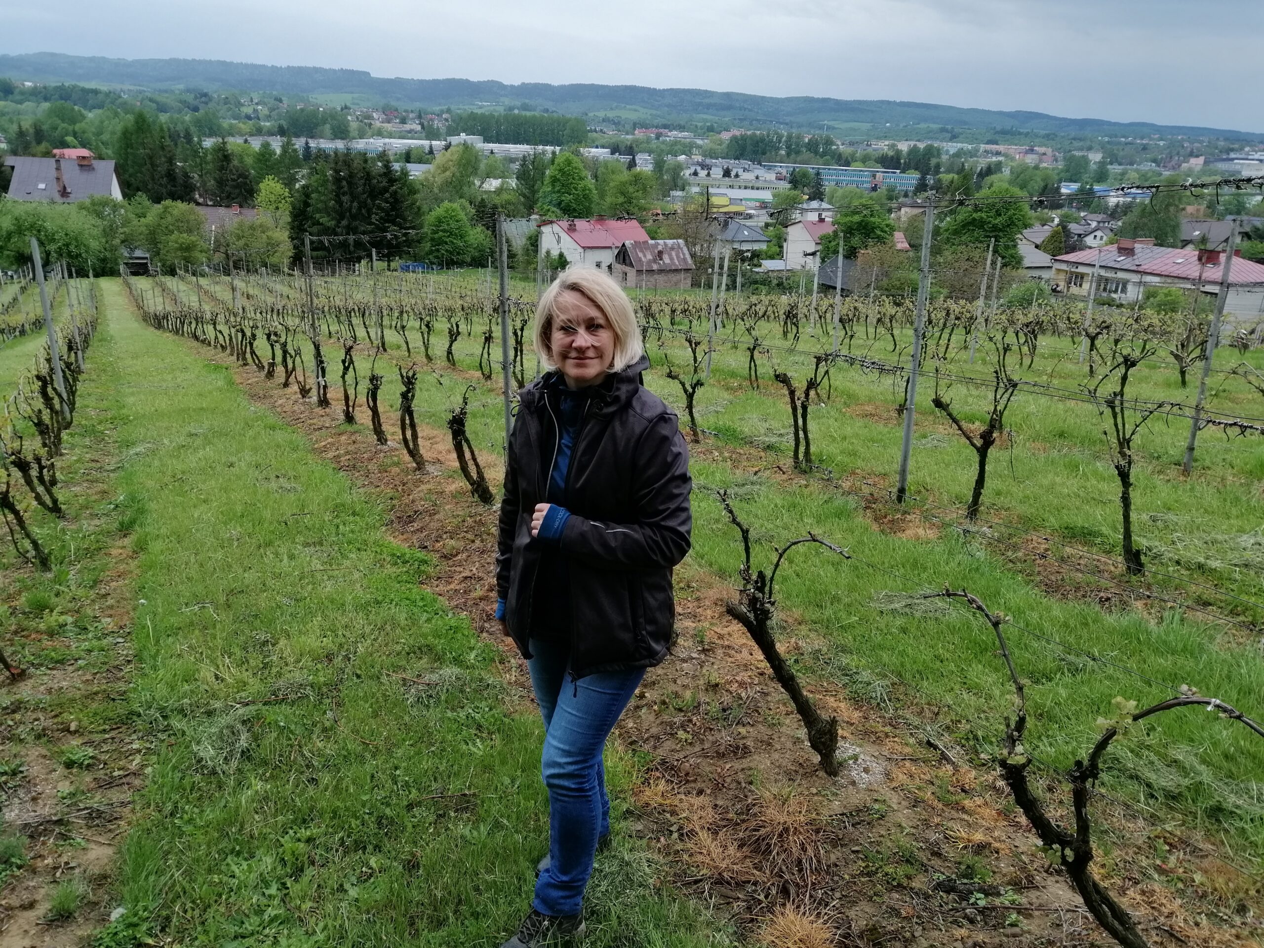 Winnice i enoturystyka w Polsce
